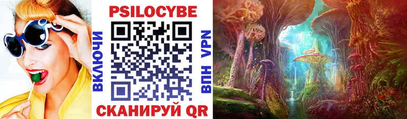 Галлюциногенные грибы Psilocybe Юхнов